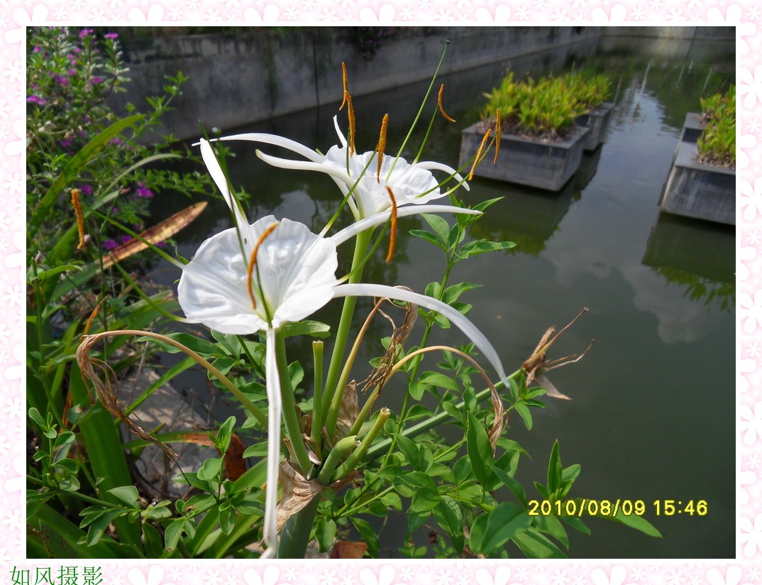 SDC14601_conew1.jpg