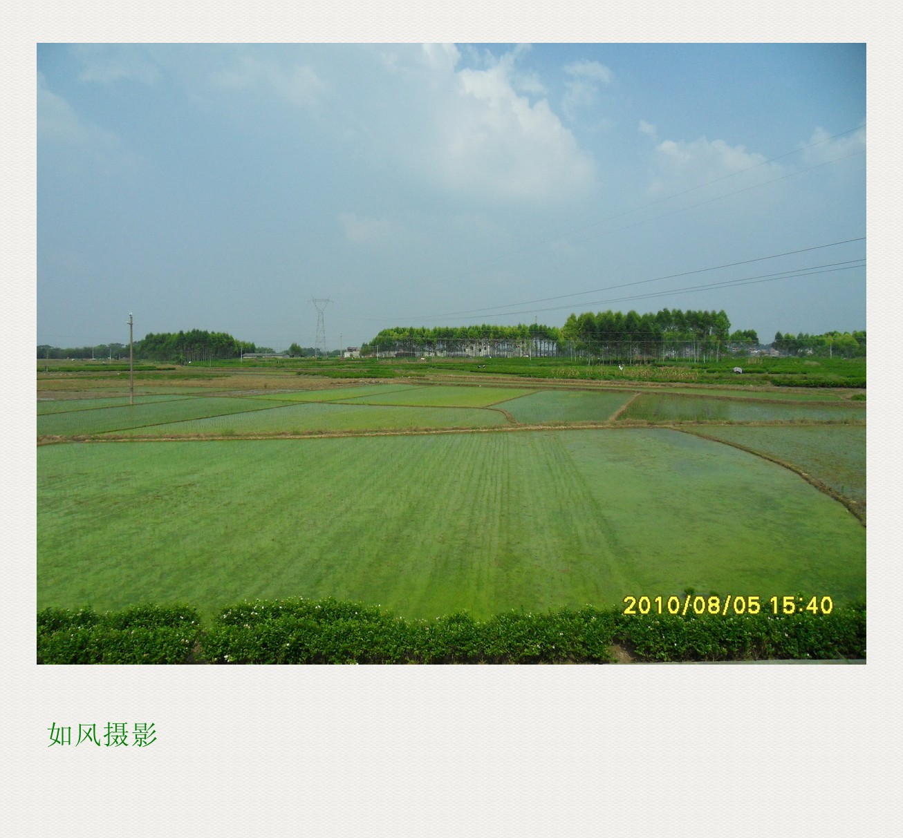 SDC14251_conew1.jpg