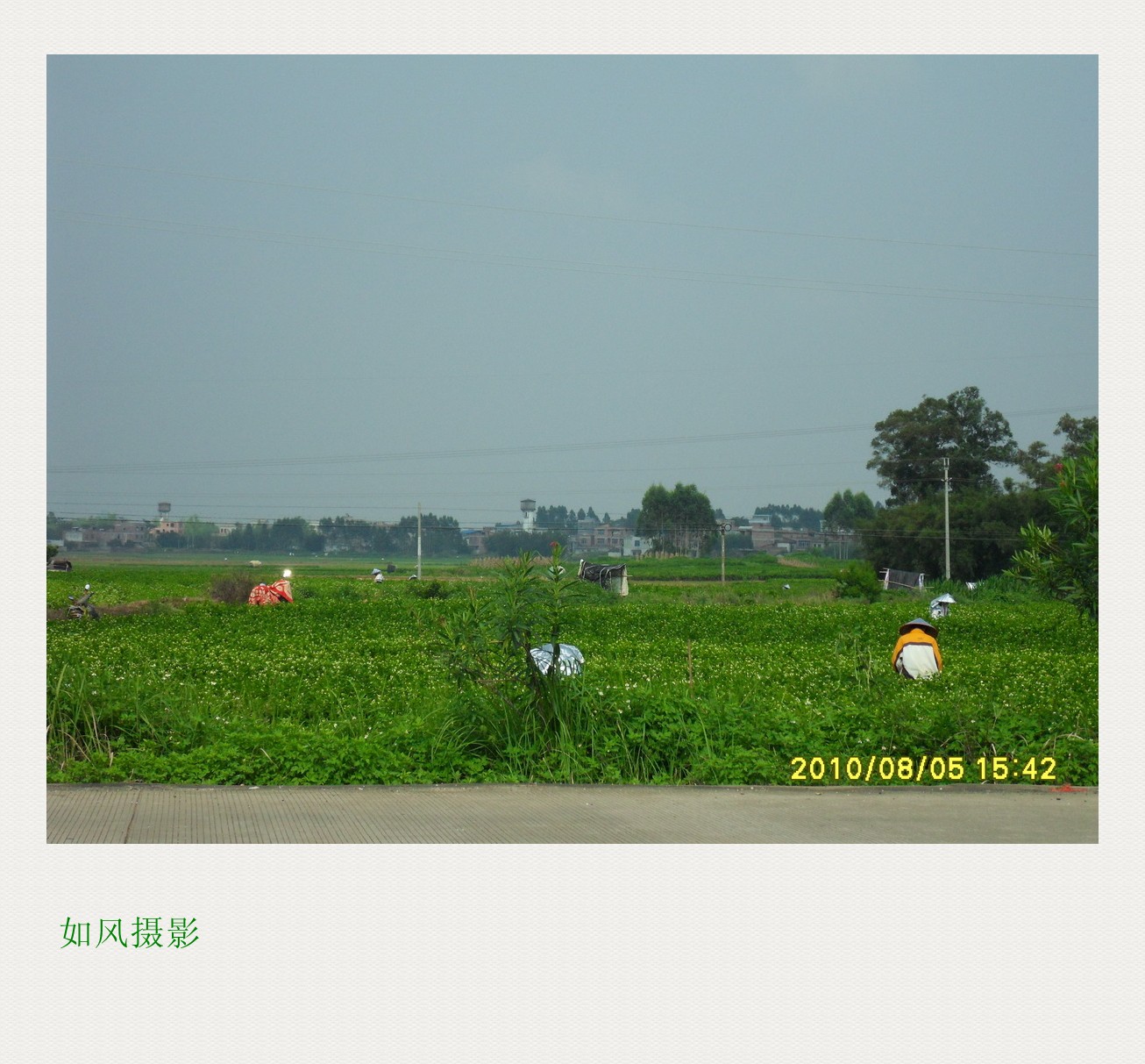 SDC14255_conew1.jpg