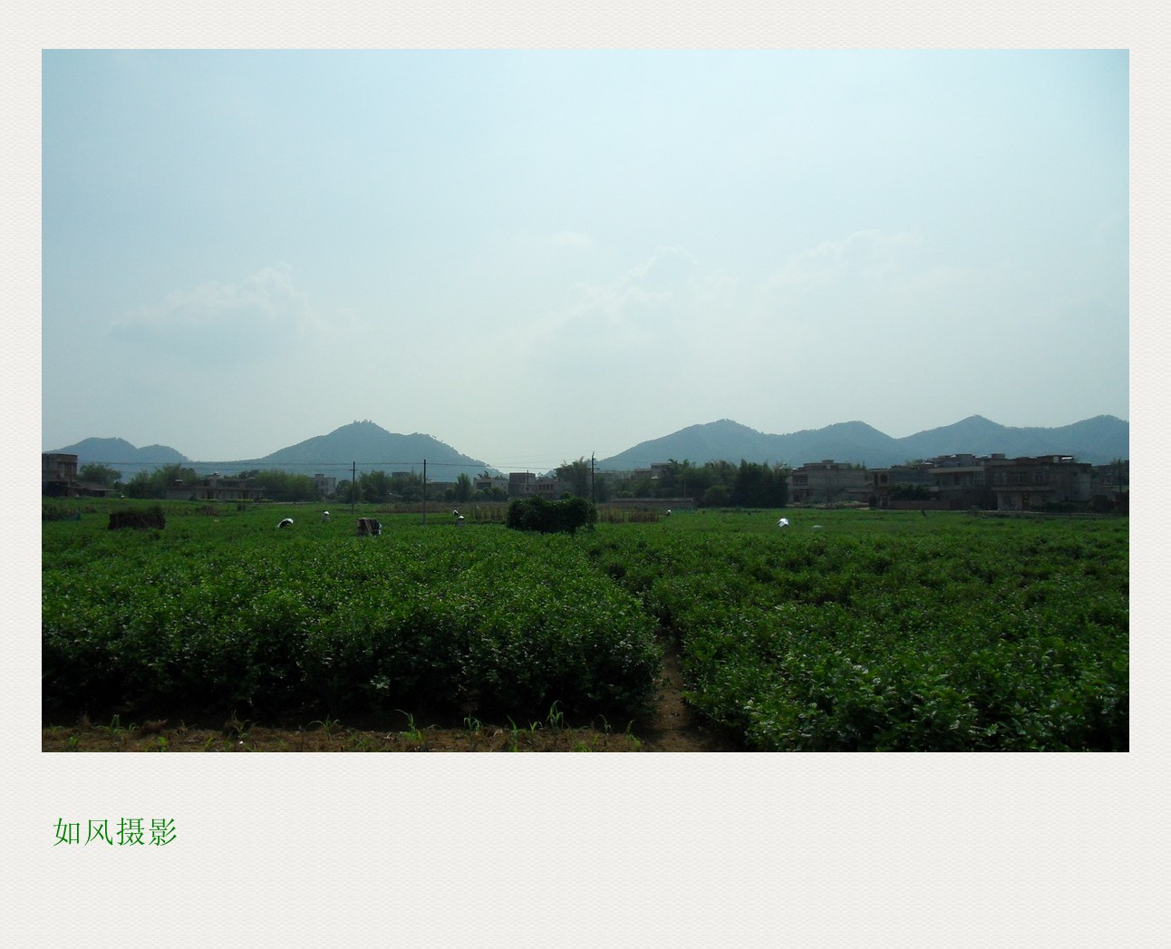 SDC14256_conew1.jpg