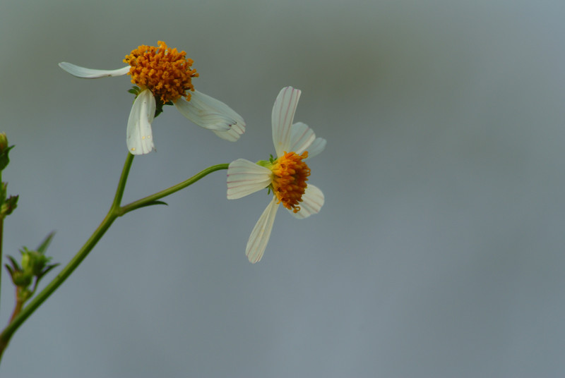 a7508727_s.jpg
