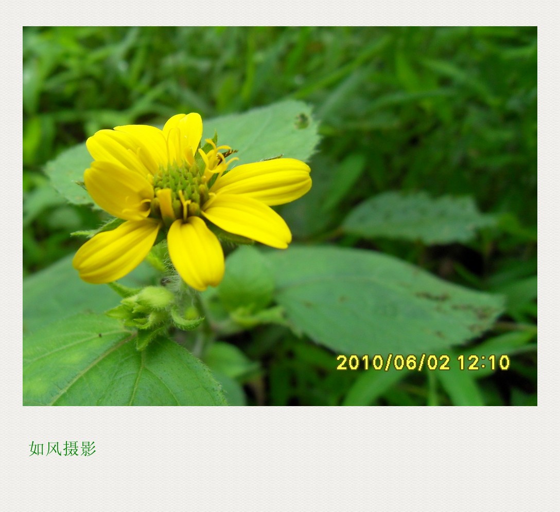 SDC12504_conew1.jpg