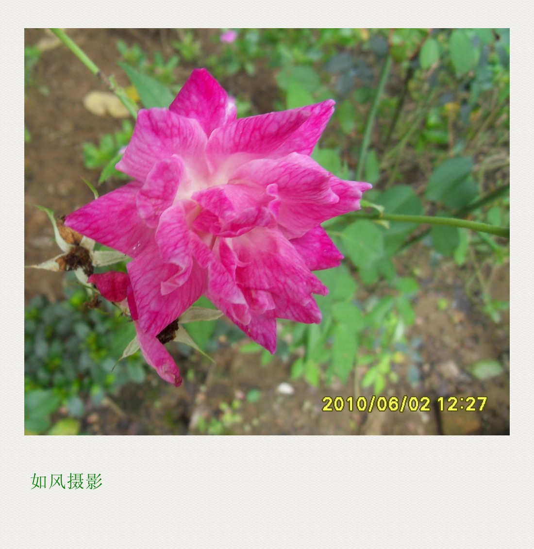 SDC12531_conew1.jpg