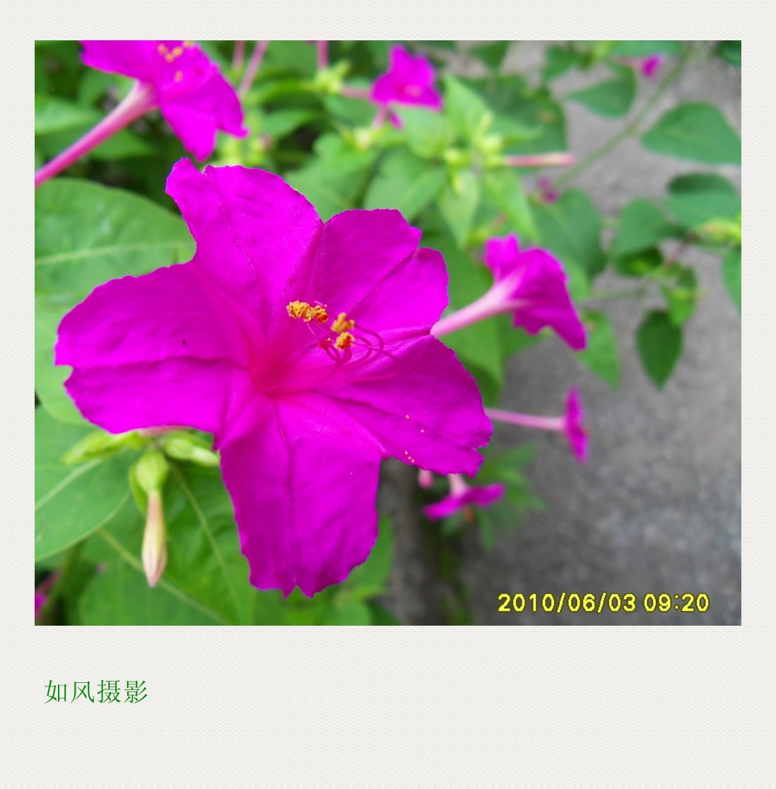SDC12741_conew1.jpg
