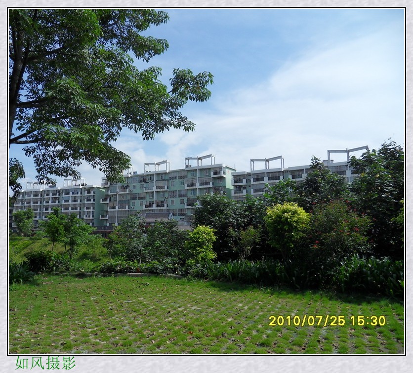 SDC13981_conew1.jpg