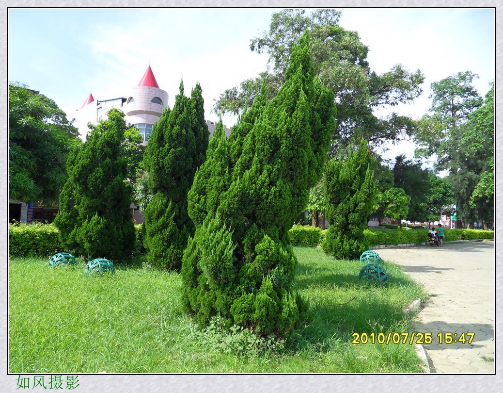 SDC14020_conew1.jpg