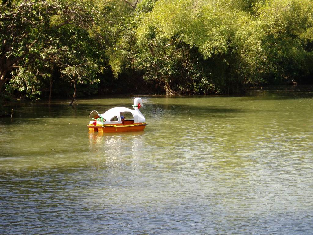 PC050011.JPG
