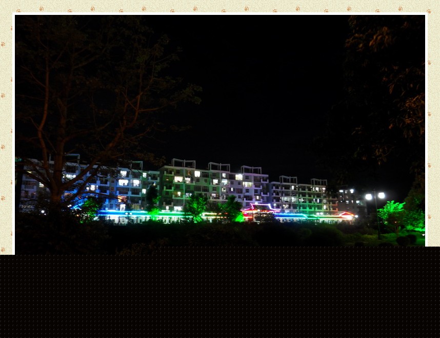 SDC15102_conew1.jpg