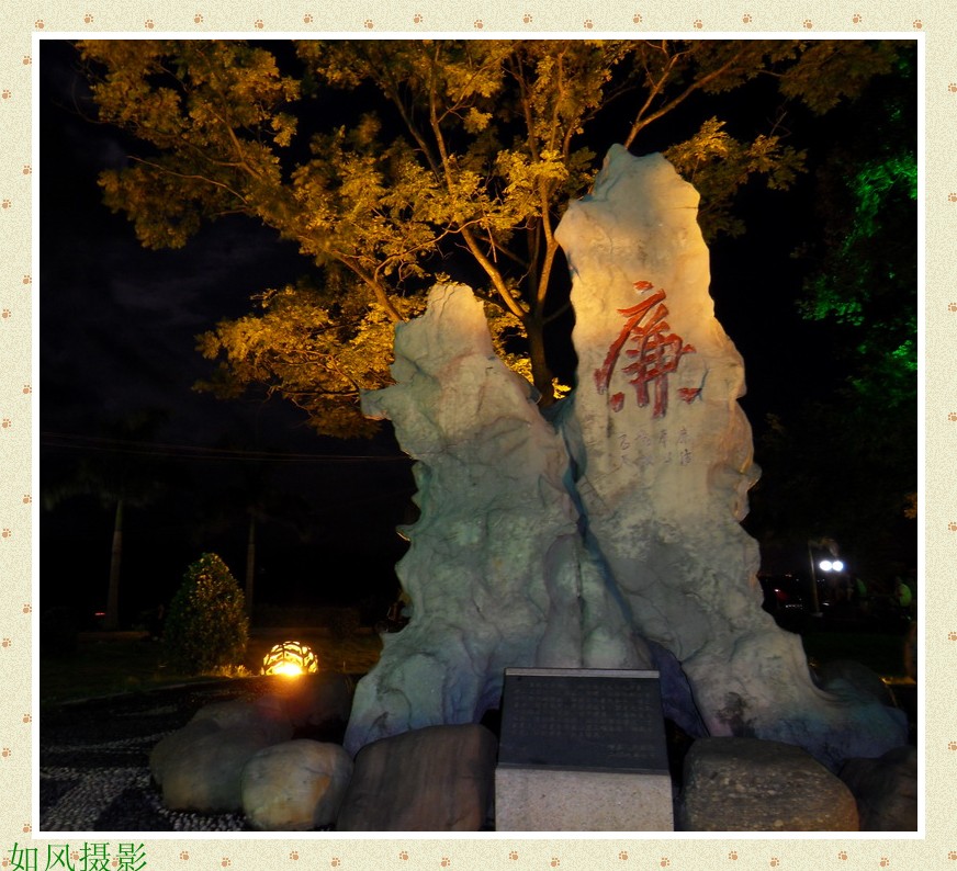 SDC15139_conew1.jpg