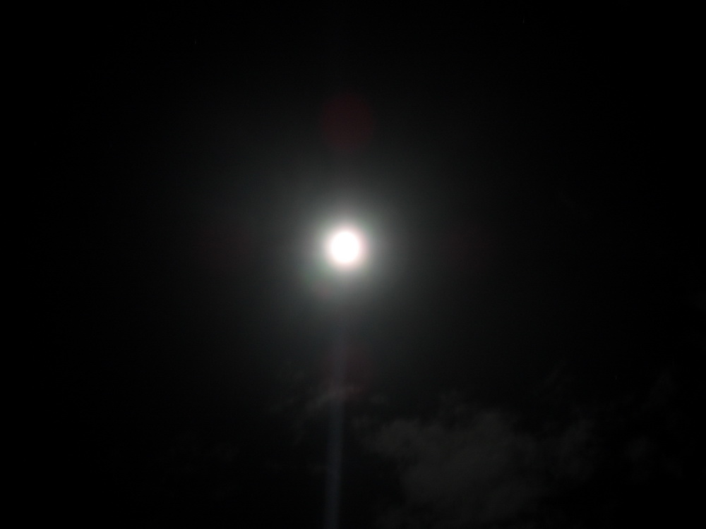 SDC15160.jpg