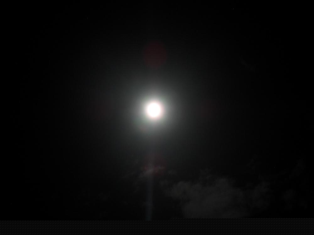 SDC15161.jpg