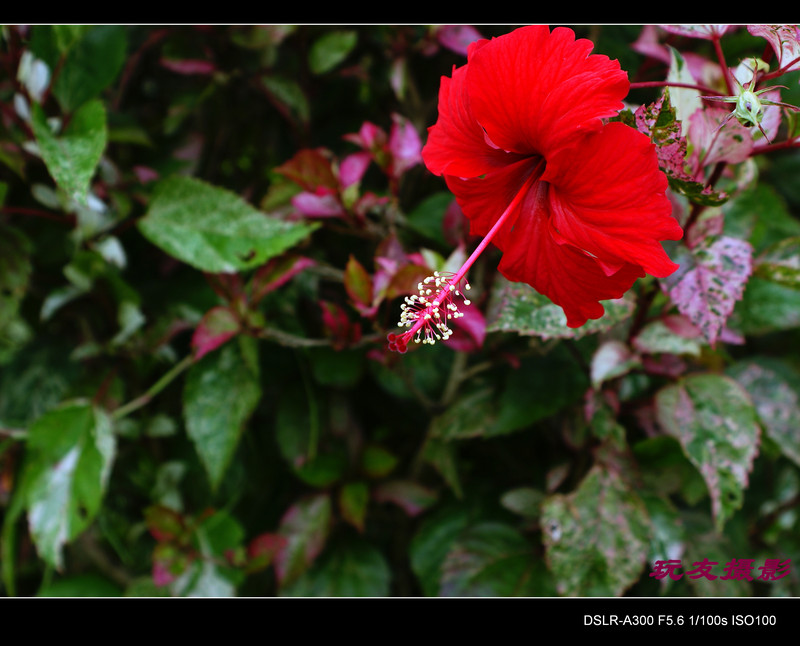 a7543410_s.jpg