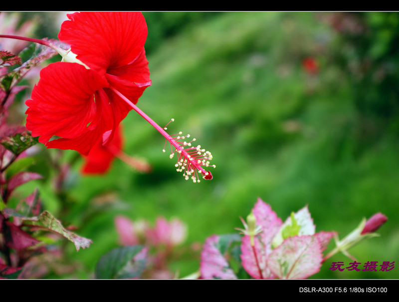 a7543458_s.jpg