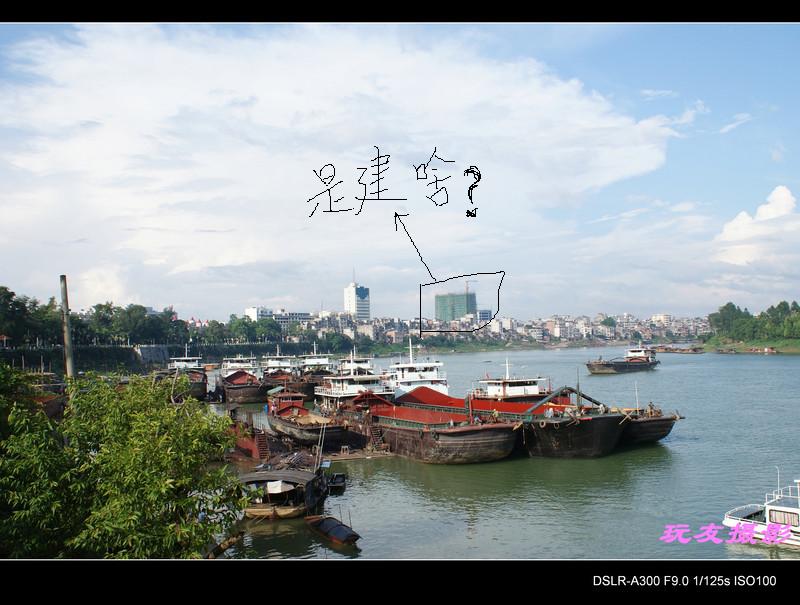 是？？？