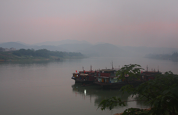 IMG_4467.jpg