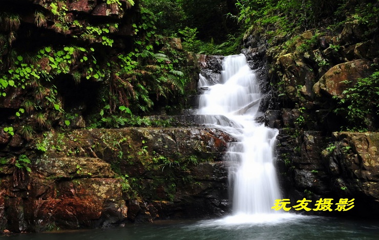 20100802_f688b3441a25e228c903nhZq1As1JKJw.jpg