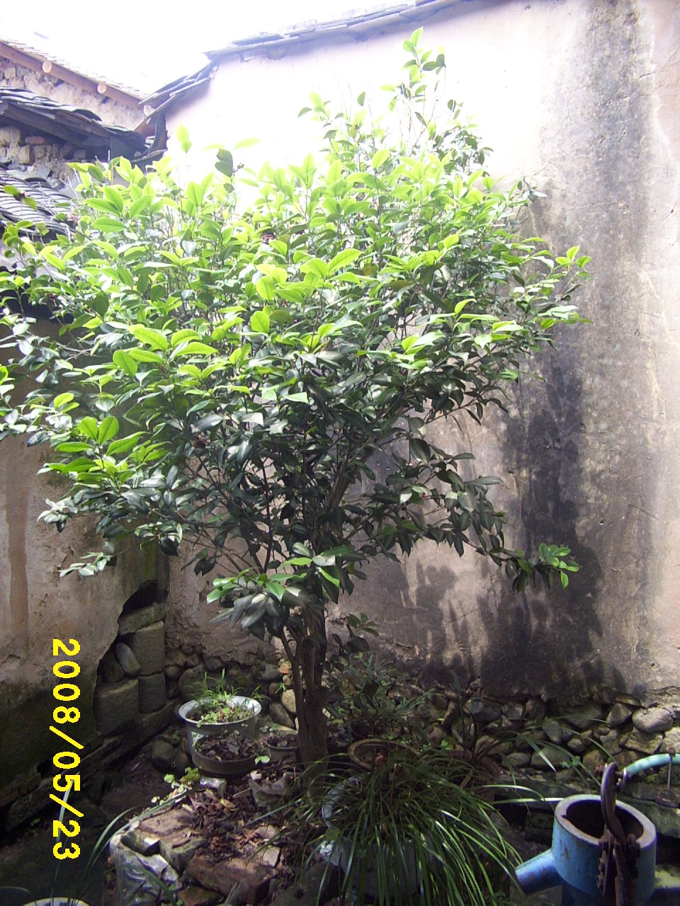 bf7f5df9d295ba164e4aea24.jpg