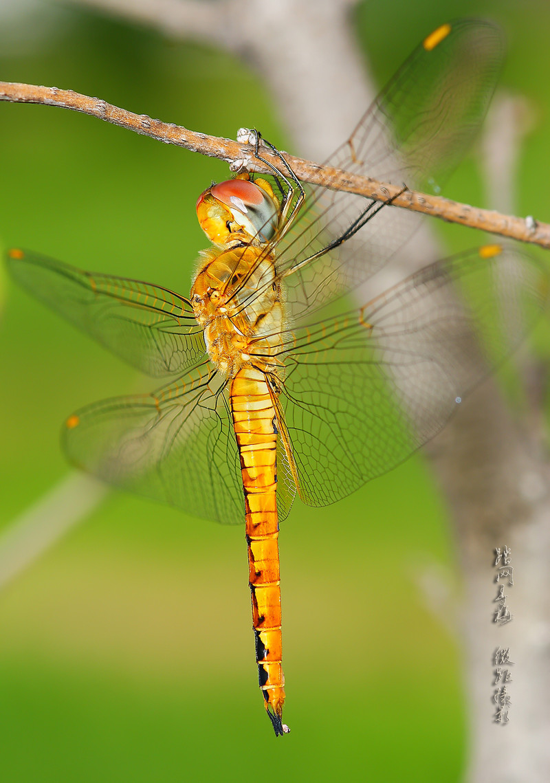 a7571053_s.jpg