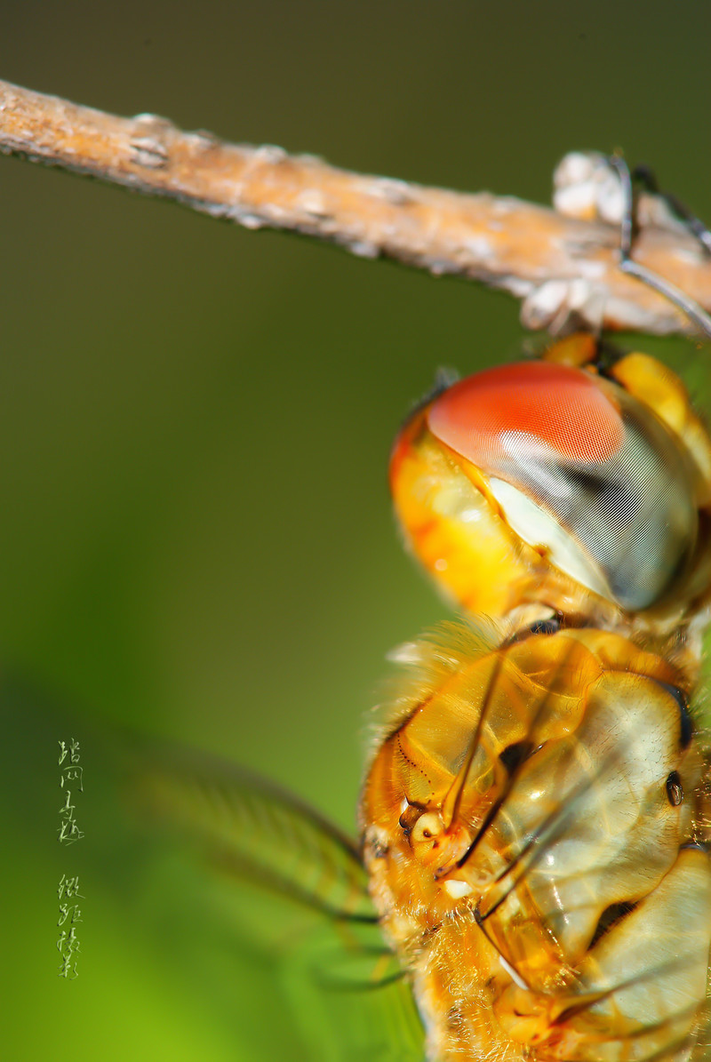 a7571057_s.jpg