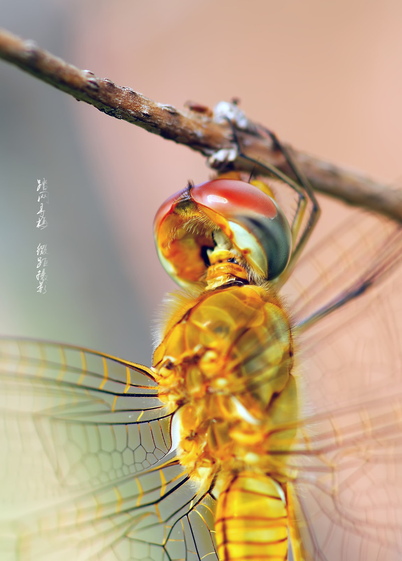 a7571064_s.jpg