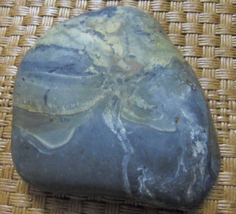 146.jpg
