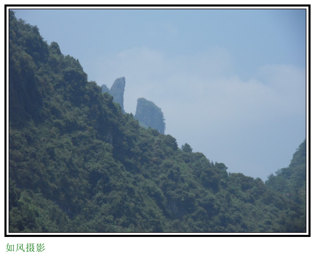SDC16188_conew1.jpg