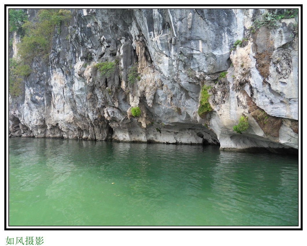 SDC16245_conew1.jpg