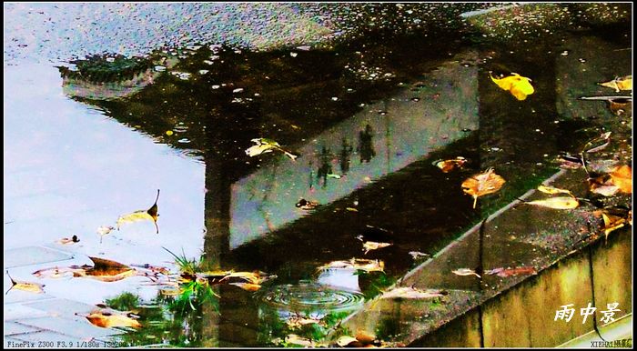 DSCF78021.jpg