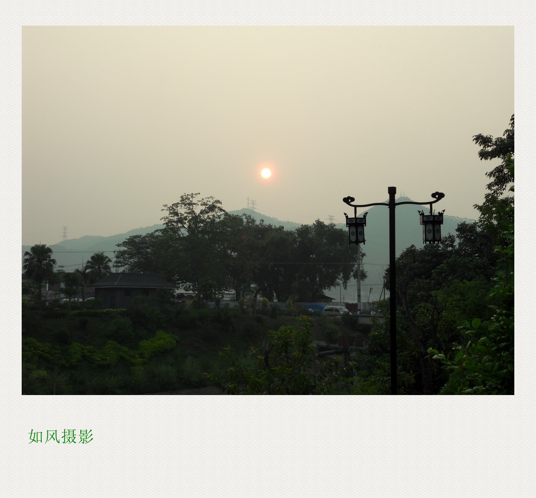 SDC16969_conew1.jpg