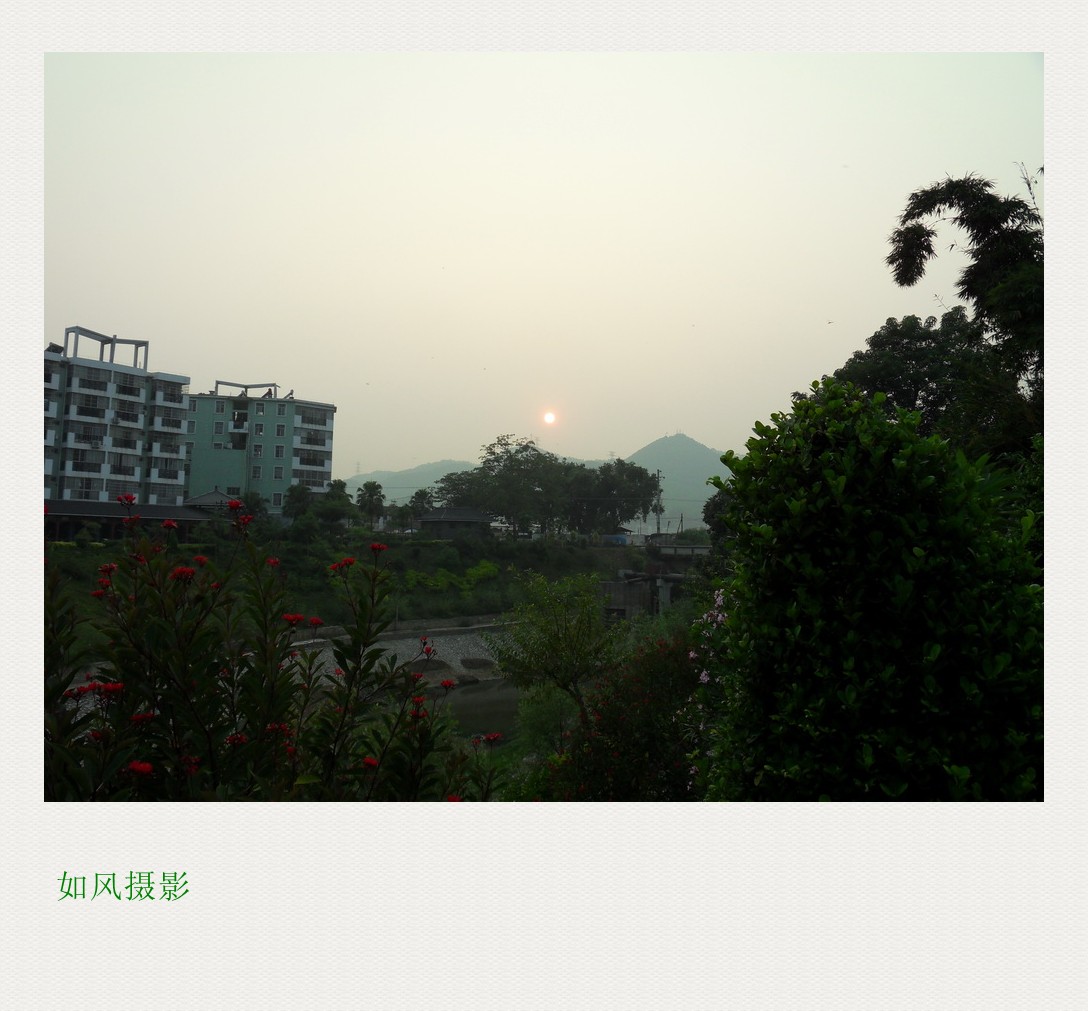 SDC16974_conew1.jpg