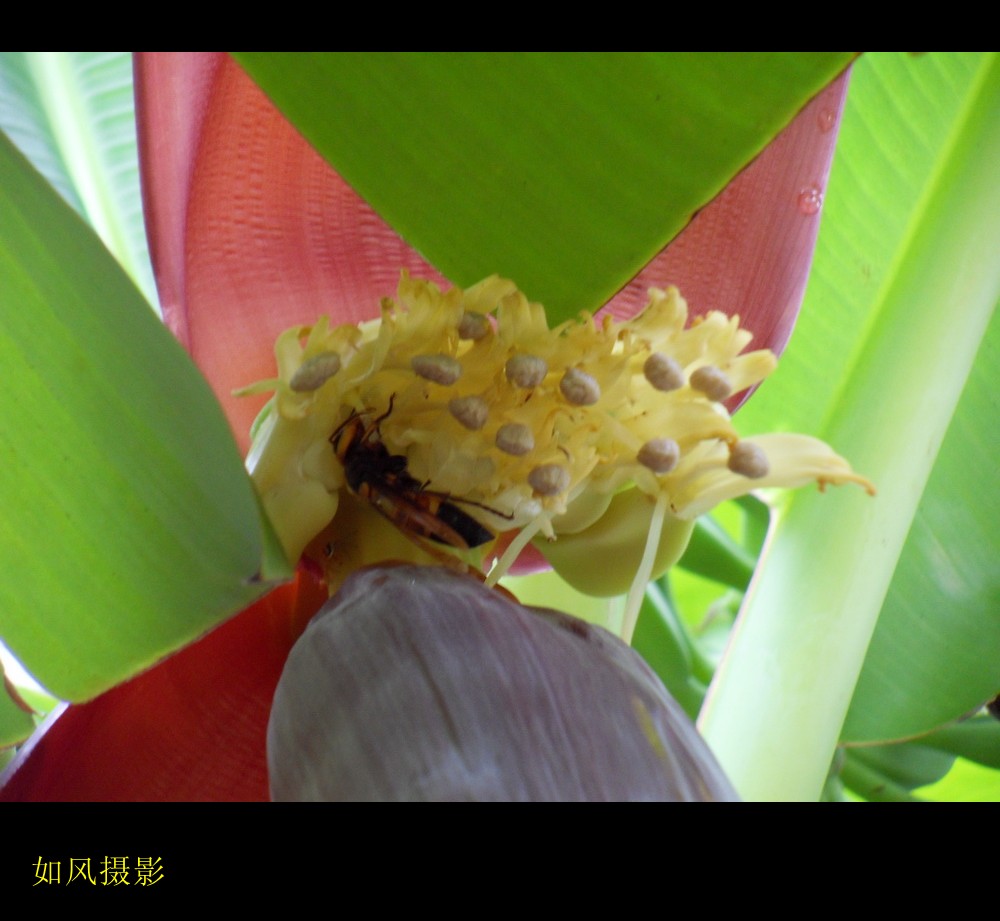 SDC16121_conew1.jpg
