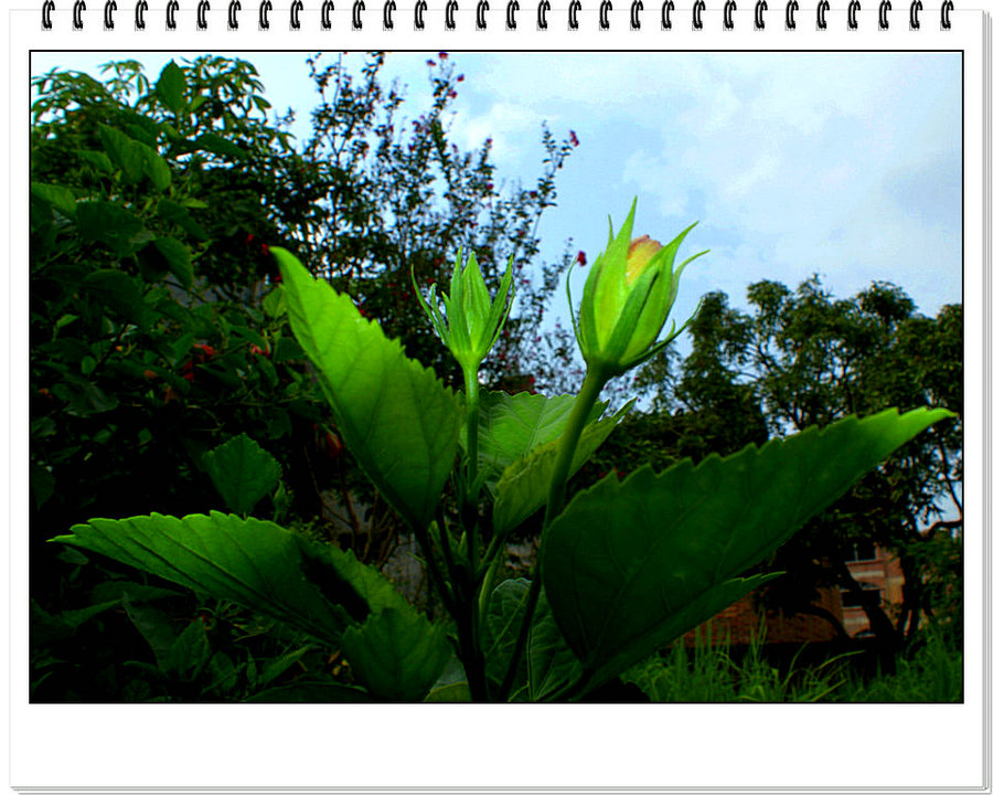 DSC05924.JPG