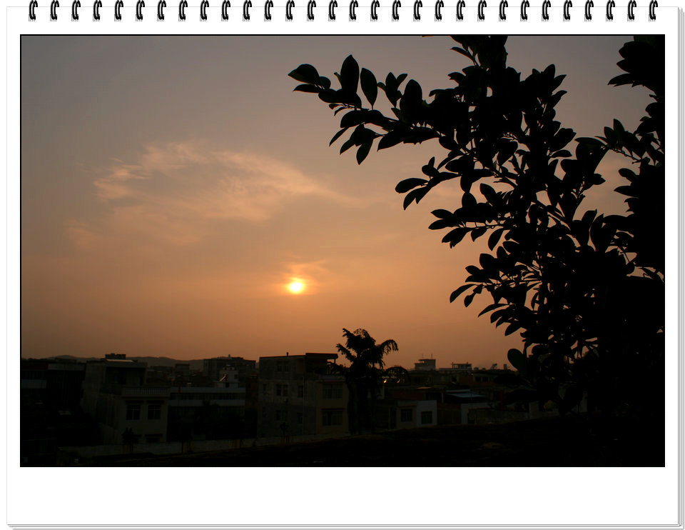 DSC06000.JPG