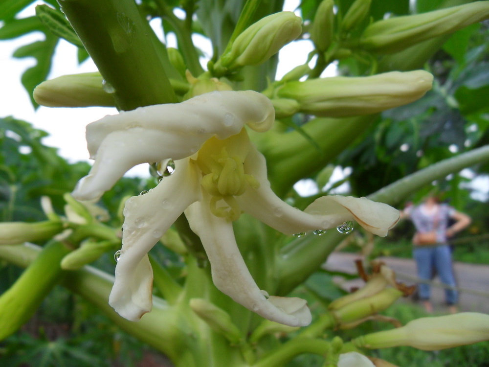 SDC15580.jpg