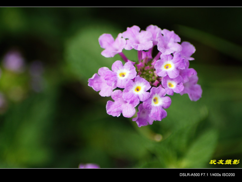 a7640975_s.jpg