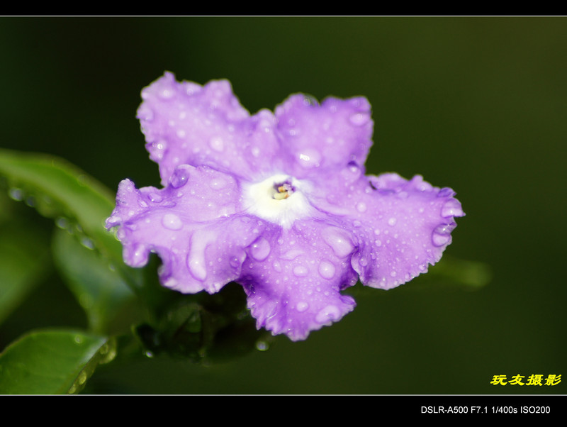 a7641039_s.jpg