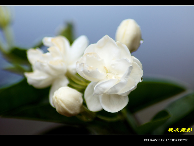 a7641116_s.jpg