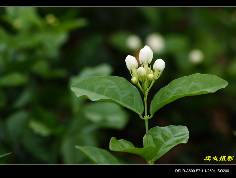 a7641123_s.jpg