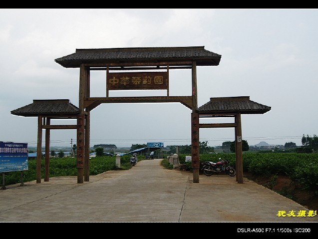 未命名.jpg