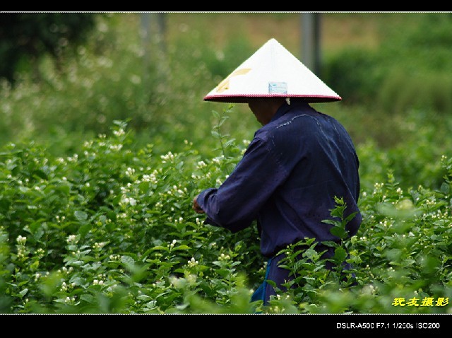 未命名5.jpg