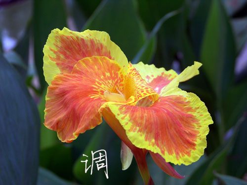 100_5269.jpg