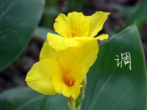 100_5273.jpg