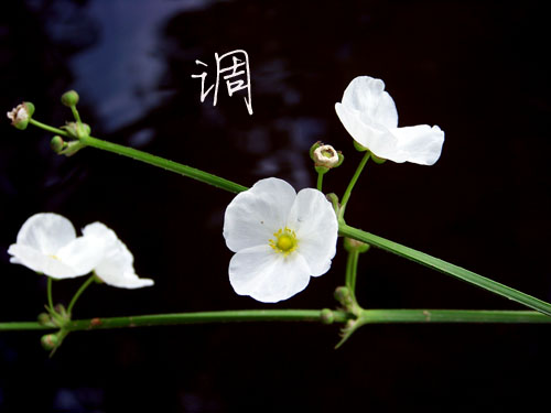 100_5248.jpg