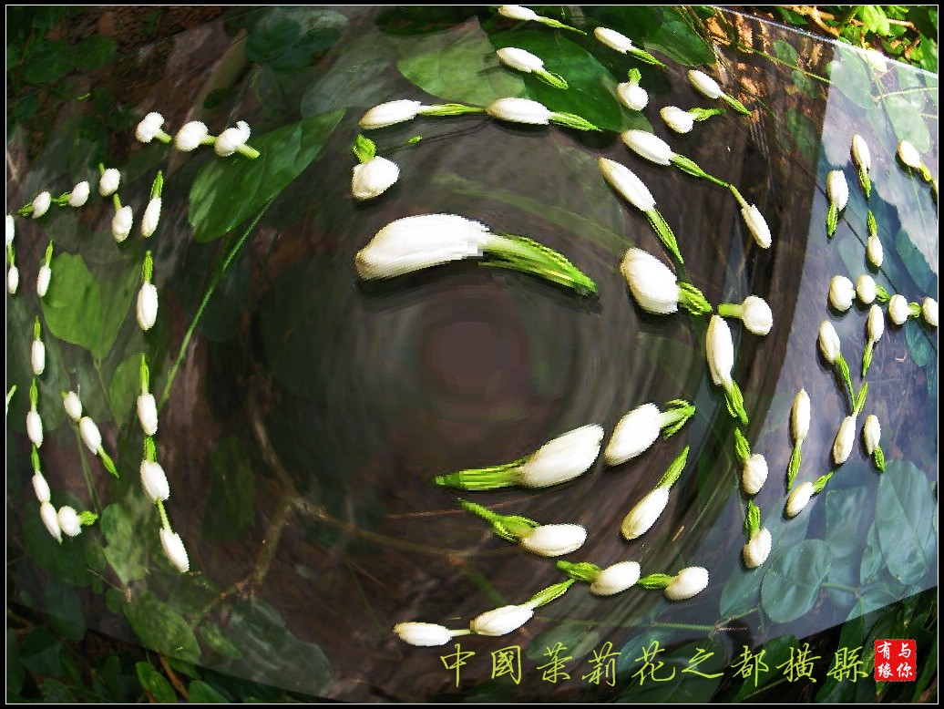 SP_A0183.jpg