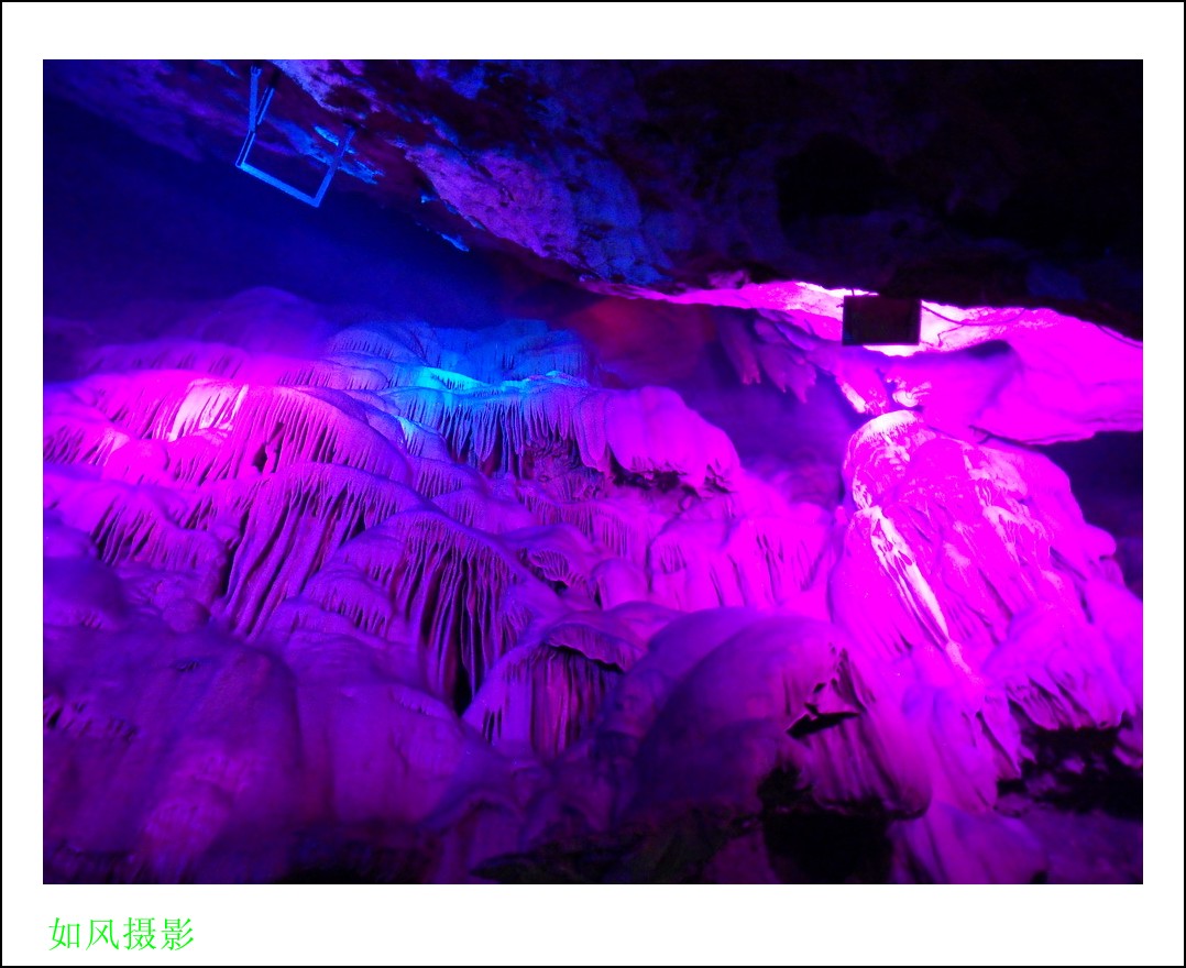 SDC16716_conew1.jpg