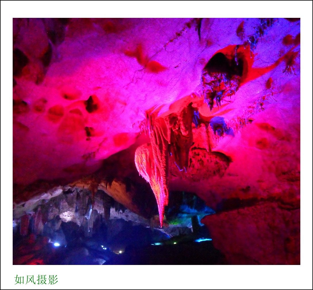 SDC16730_conew1.jpg