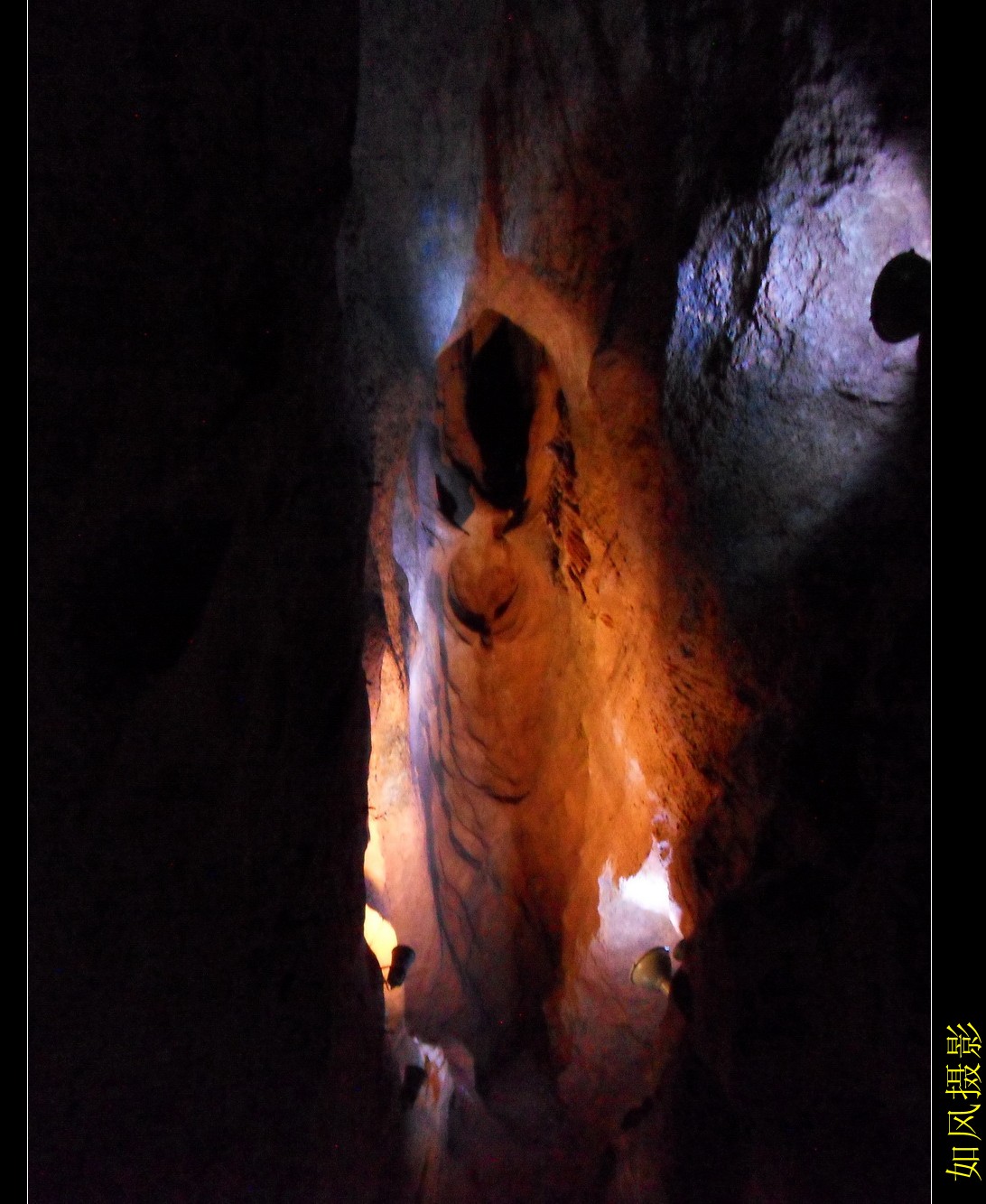 SDC16737_conew1.jpg