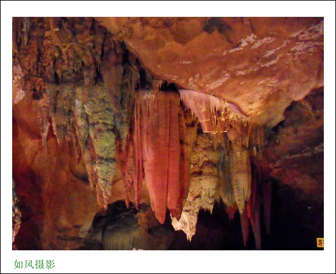 SDC16757_conew1.jpg