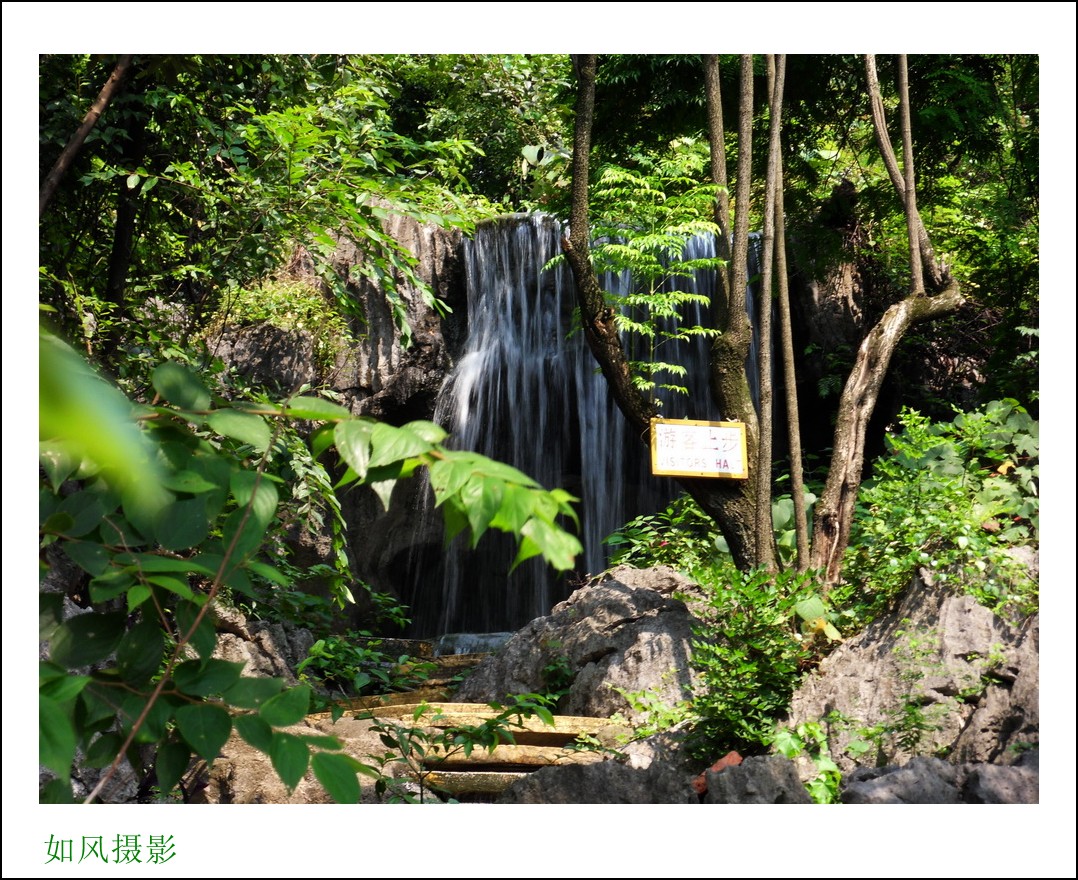SDC16453_conew1.jpg