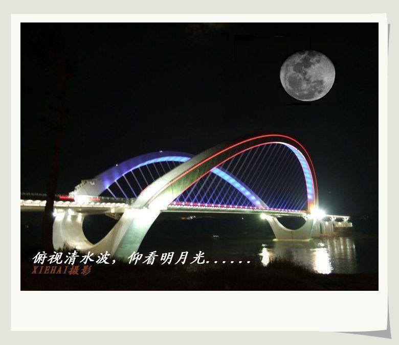 DSCF0879.jpg